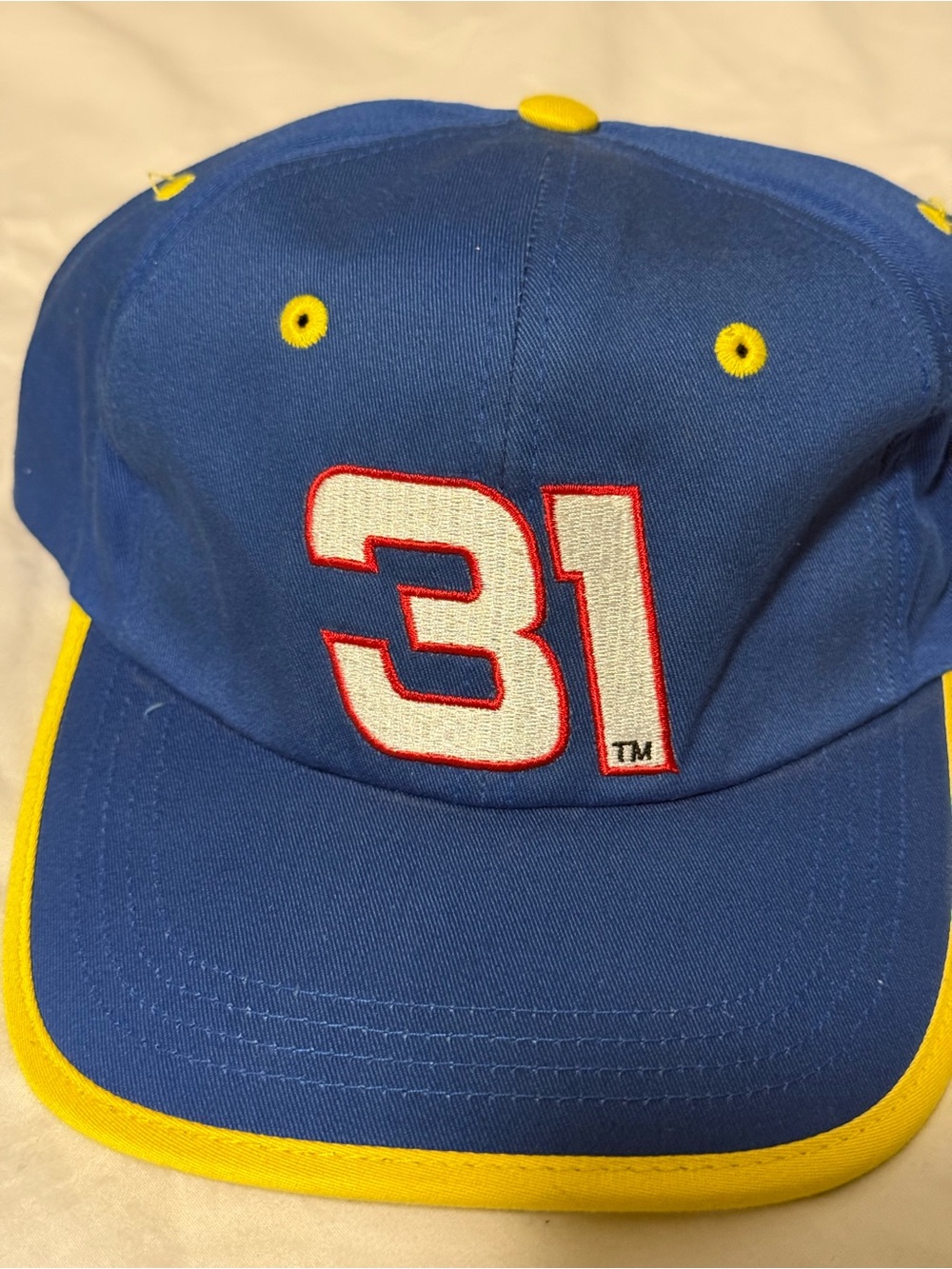 SKINNER NASCAR Blue and Yellow Embroidered Strapback Cap